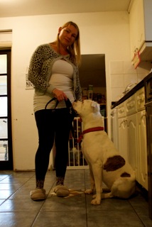 American Body sitting