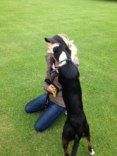 Kisses from Jess the border collie