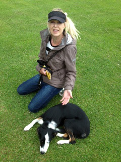 Lovely and calm with Jess the border collie