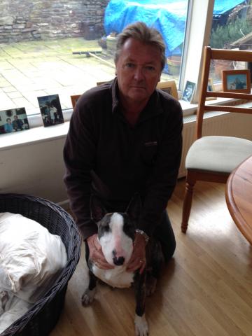 Mike and Dolly the English Bull Terrier