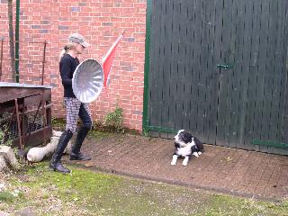 Sally and Gemma the Border Collie