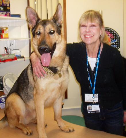 I have lots of jobs; one is being a therapy dog