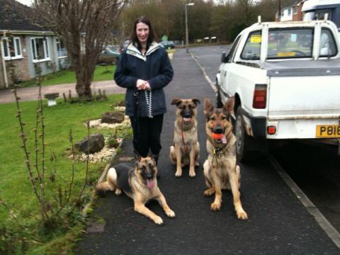 Lynne, Caspa and Sally's dogs Boy and Chiot