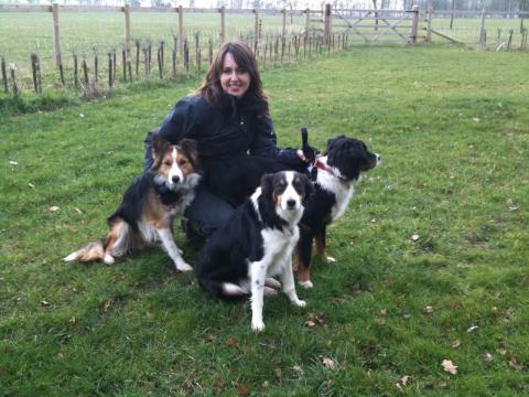 Paula and the collie pack