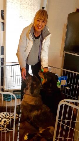 Sally with Hugo and Alfie