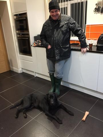 Lola the Black Labrador