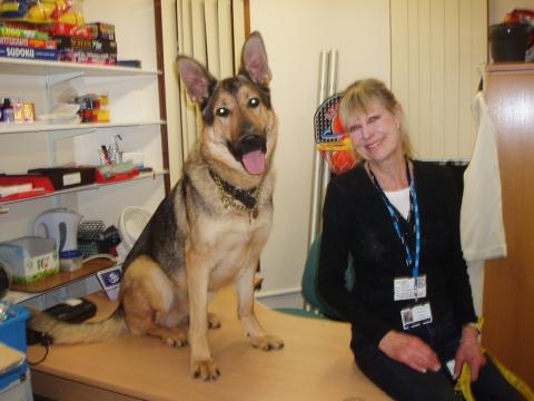 I am proud to be a Pets As Therapy Dog