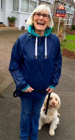 Rosie the Labradoodle