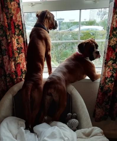 Rubus and Kizzy