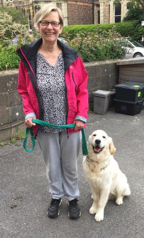 Sunny the Golden Retriever