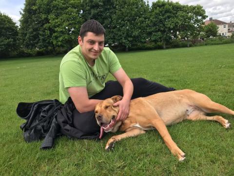 Tara the Rottweiler mix